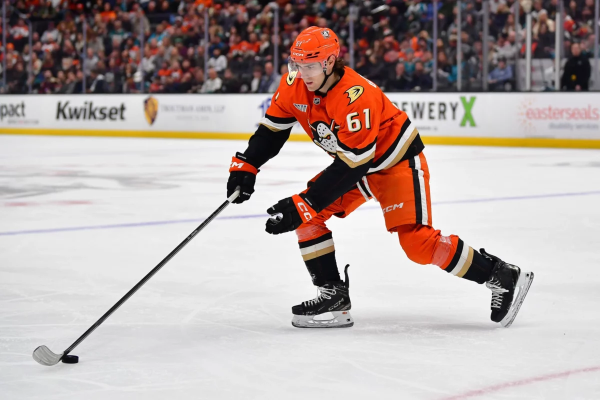 wild vs ducks 2026